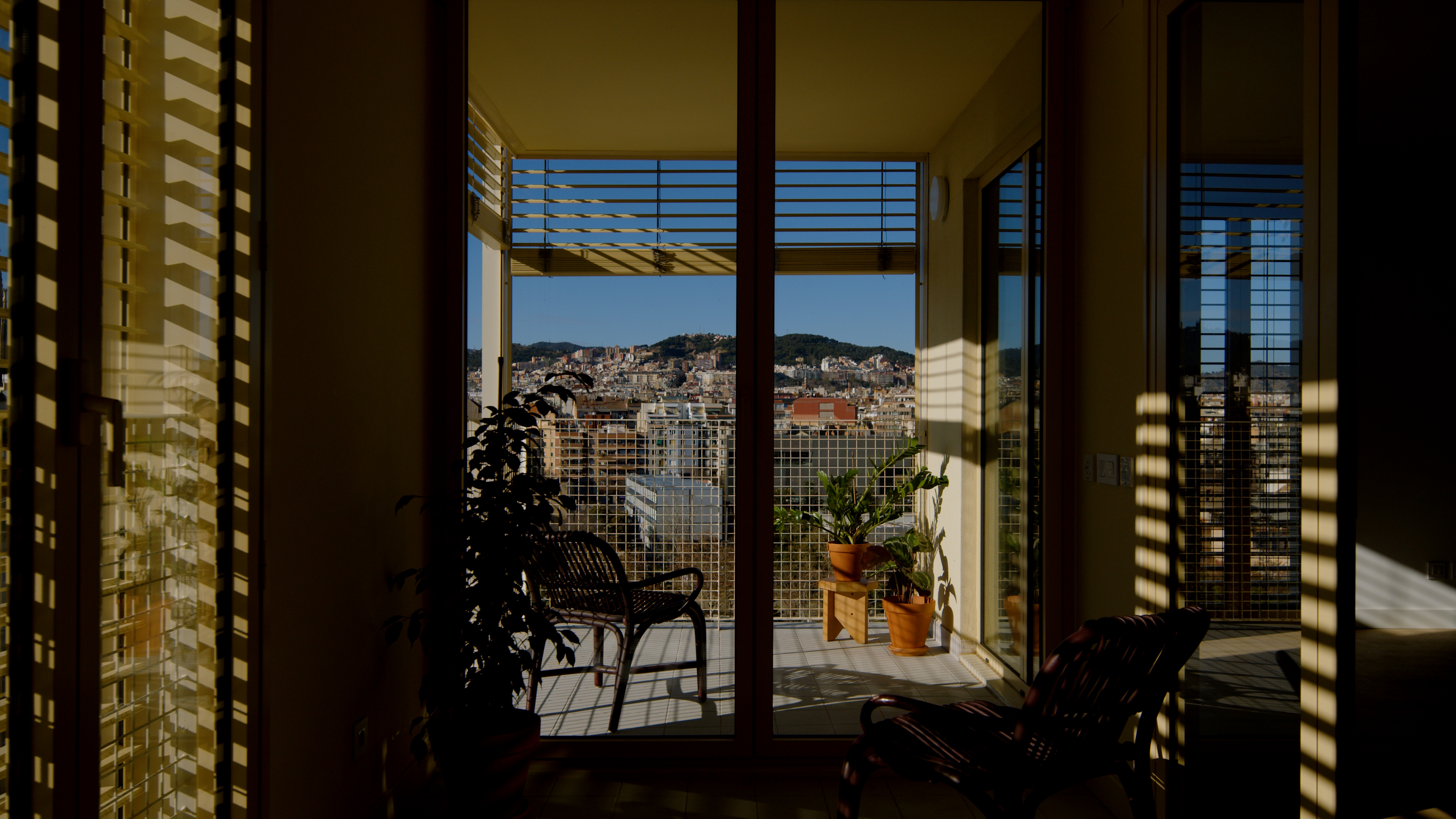 Glories image 7