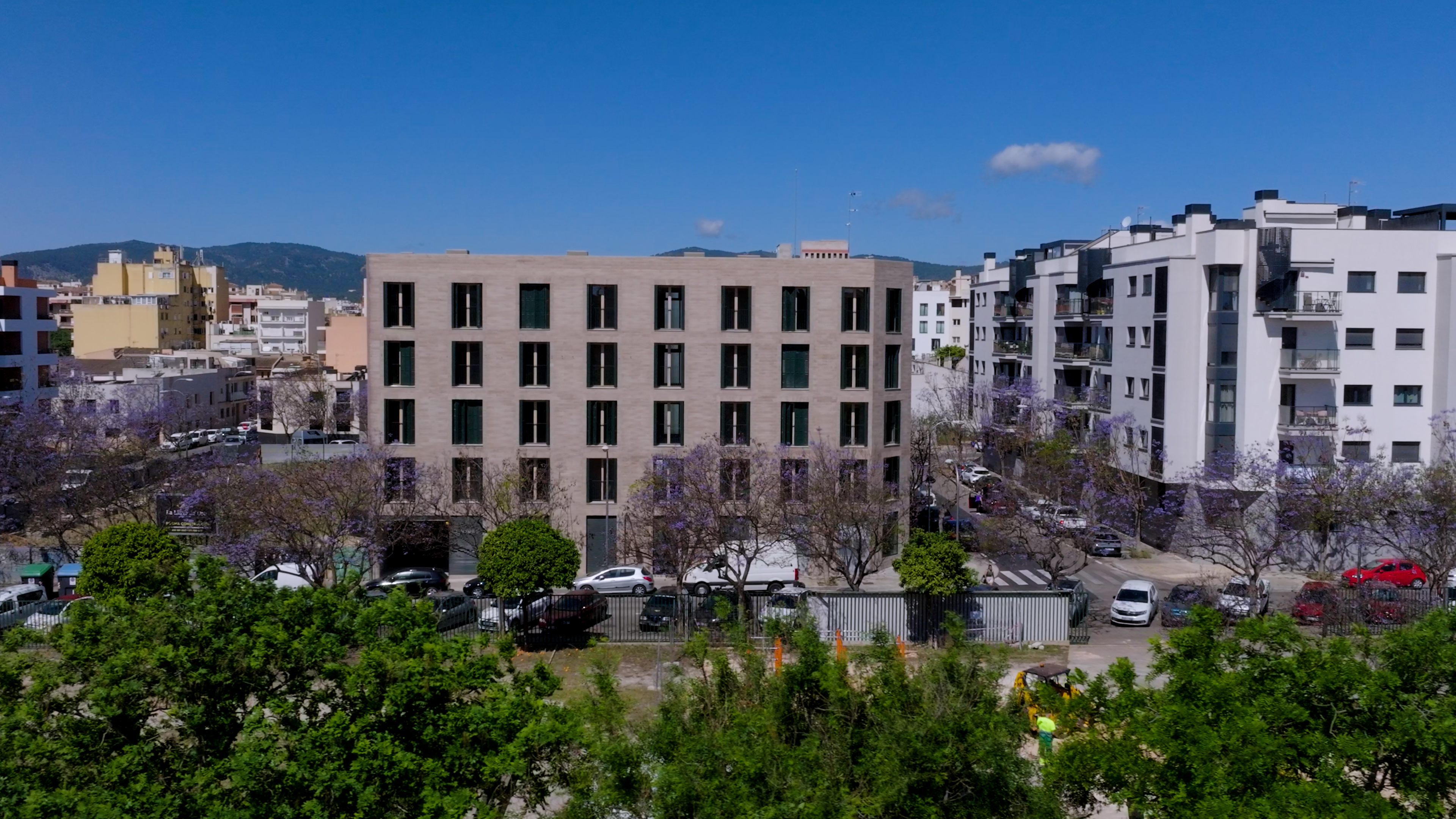 Togores image 4